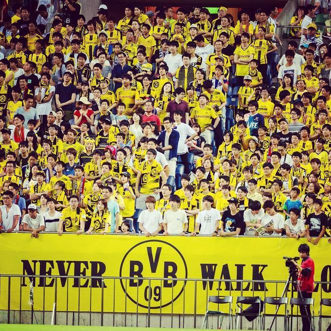 关于深度解读：多特蒙德世俱杯战术演练的信息