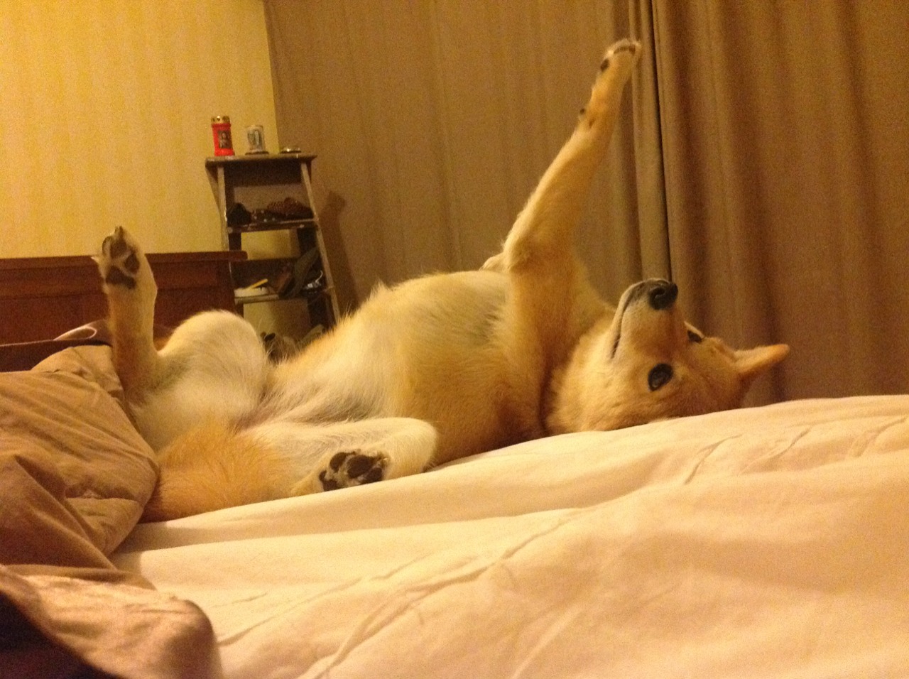 马克西魔幻之夜独砍40+10,活塞重拳出击击溃上海男篮!