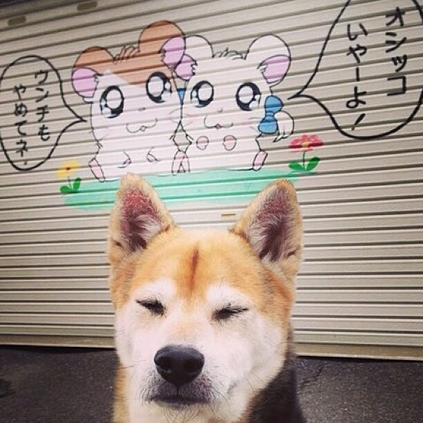 曼城对阵新西兰,莫德里奇的节奏大师秀