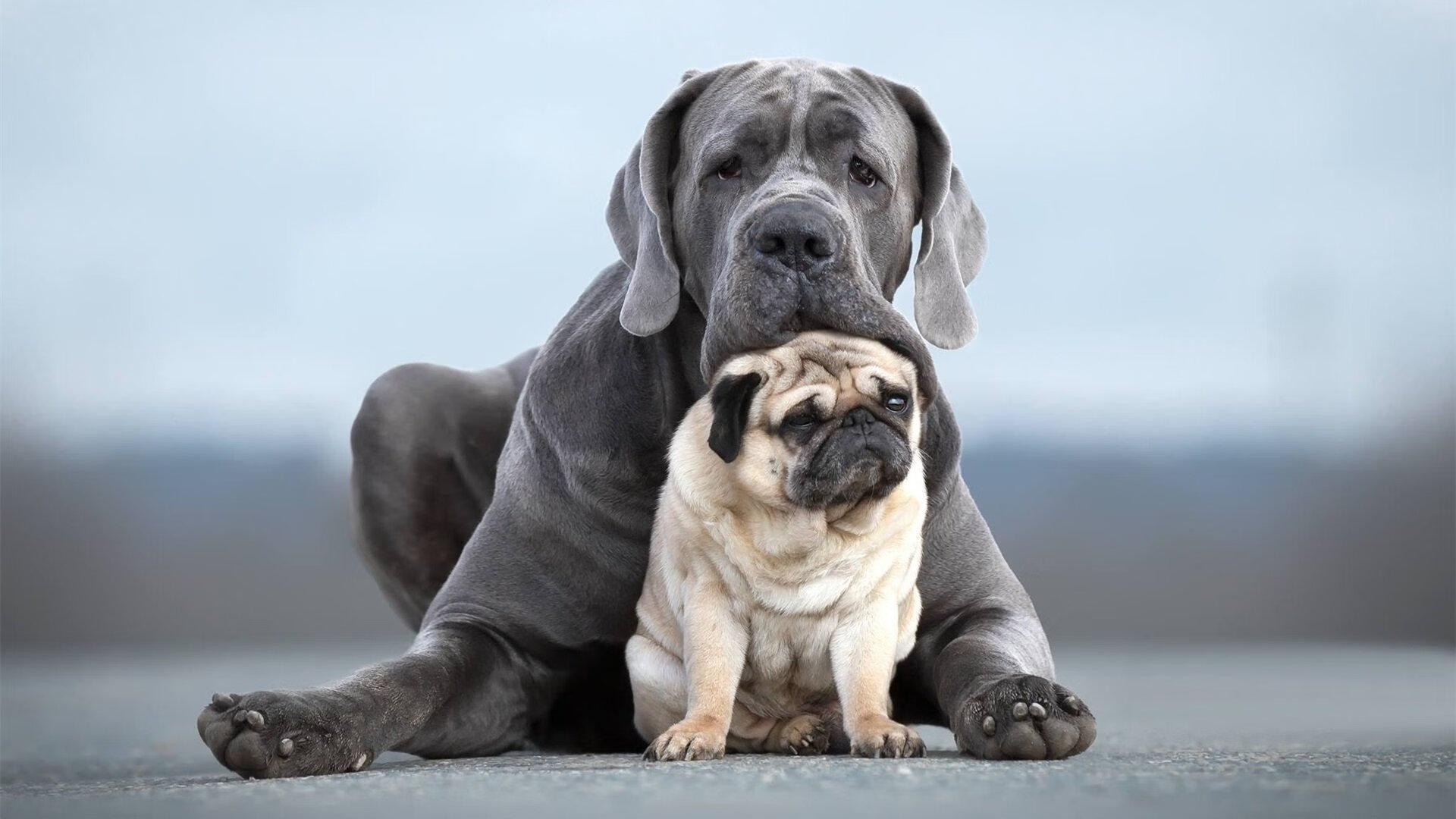 燃烧的疆域，布雷默在鏖战之夜铸就西决传奇
