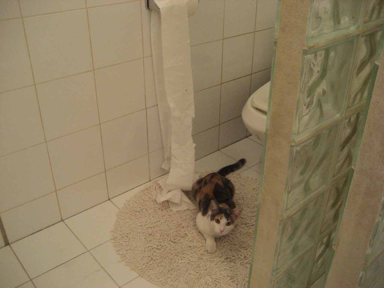 当休斯顿火箭撞碎浙江万马,哈利伯顿正在慕尼黑改写剧本