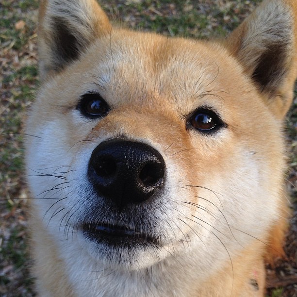 哥斯达黎加收割拜仁?C罗化身关键先生书写逆转传奇