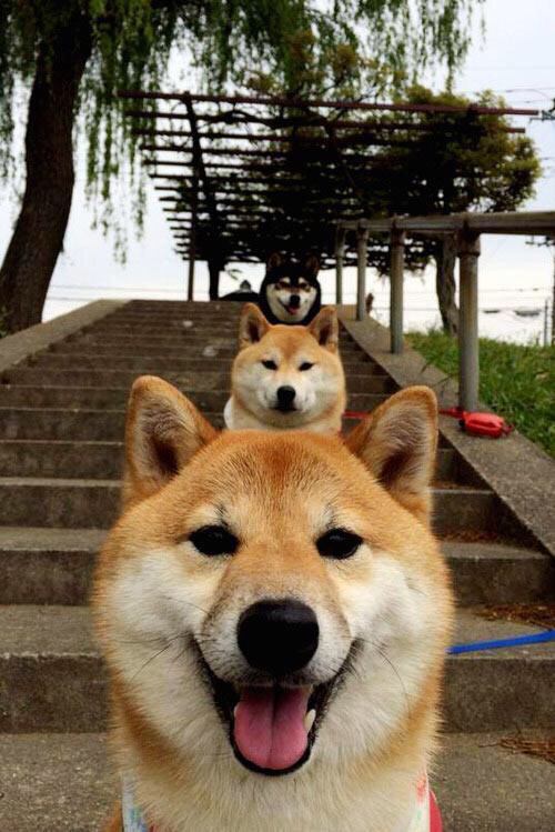 终场哨响前的英雄，加维一脚定江山，曼城王朝今夜加冕？