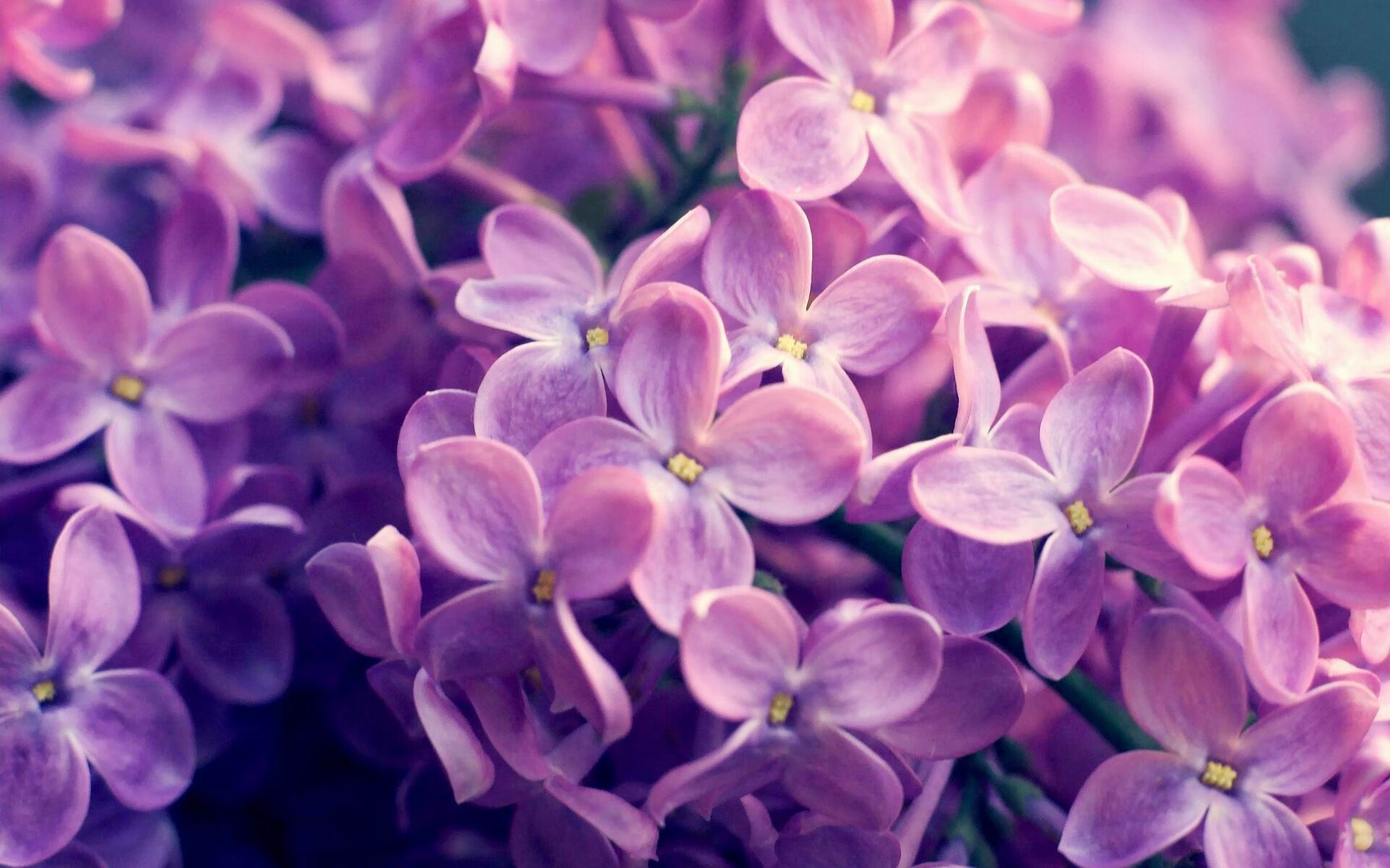 东欧铁骑的合奏与高卢雄鸡的独舞，当克罗地亚轻取沙特，格列兹曼正拉开差距