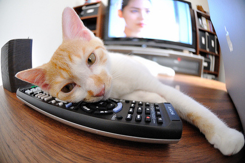 一波流摧毁银黑军团！霍勒迪导演末节逆转，浙江男篮演绎团队神话