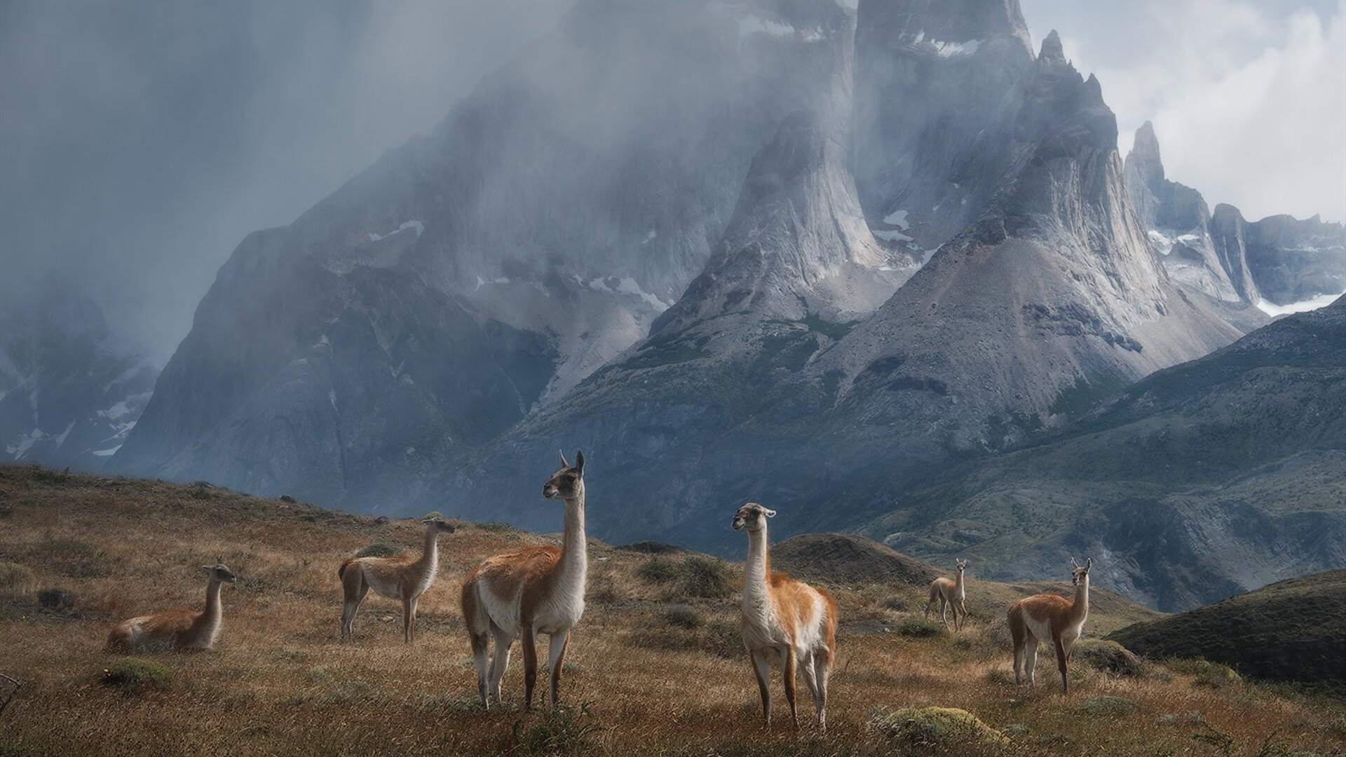 跨越15年的主宰，从邓肯的体系巨墙到杜兰特的死神镰刀