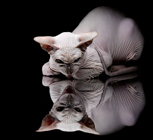 死神今夜降临，杜兰特西决生死战撕裂防线全纪实