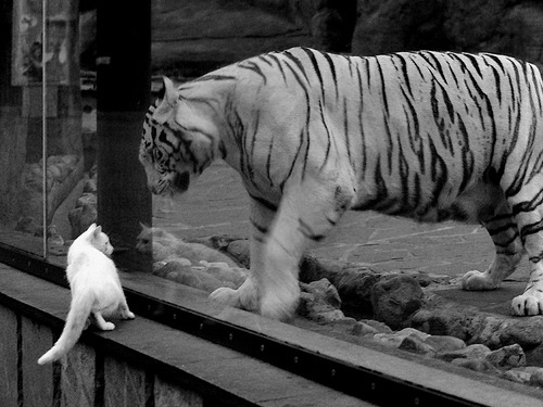 越过一万一千公里的共鸣，关键战中的英雄时刻